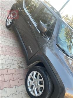 جيب رينيجيد